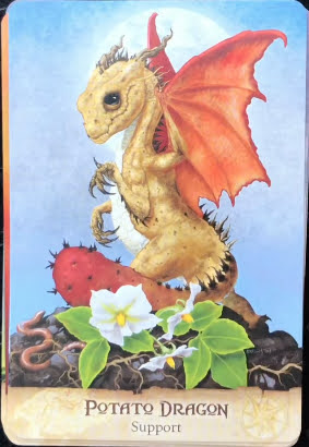 Field Guide to Garden Dragons